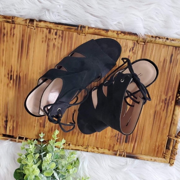 Call it Spring - Picture 8 of 9